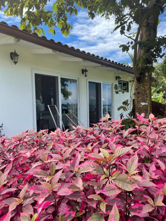 Boca Brava Paradise Bed and Breakfast Boca Chica Exteriör bild