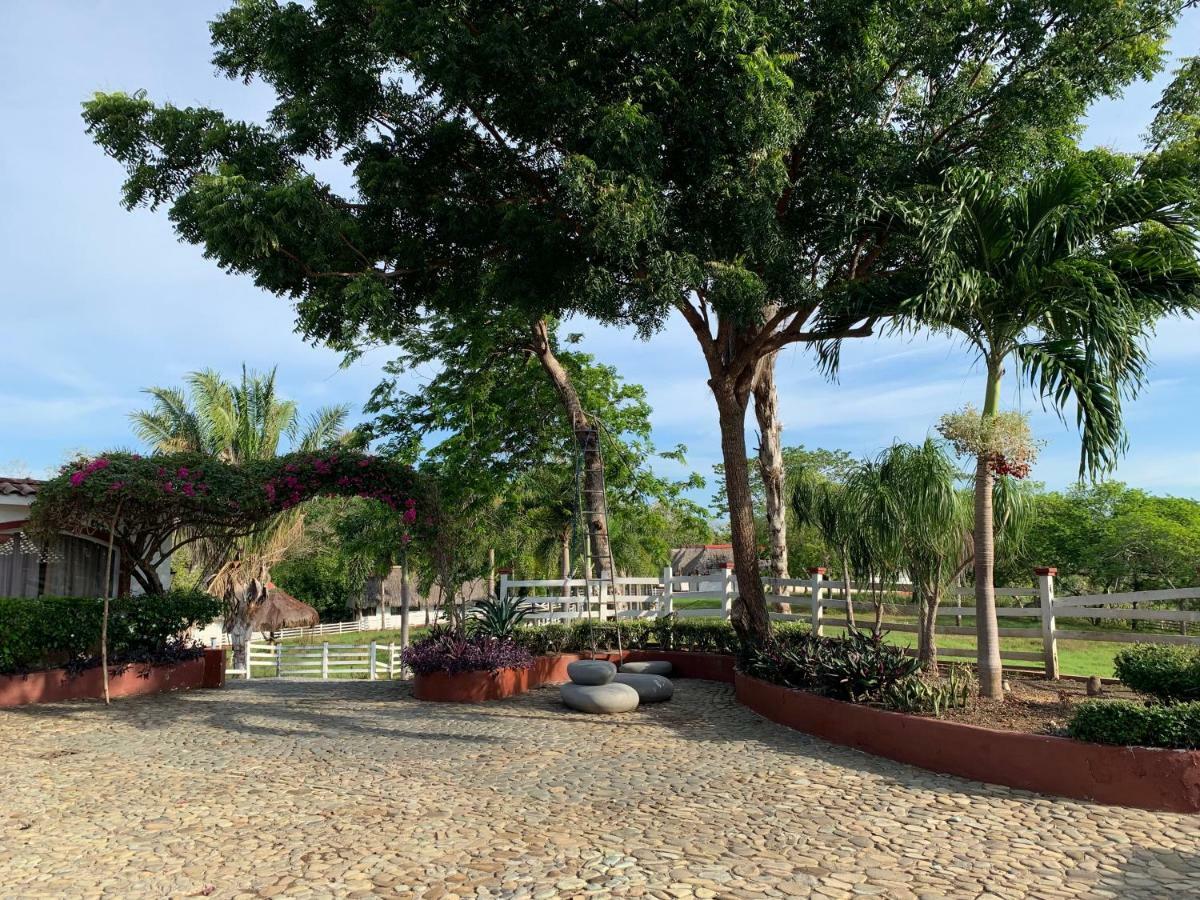 Boca Brava Paradise Bed and Breakfast Boca Chica Exteriör bild